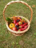 P8290312.webp