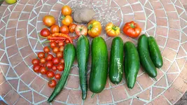 20160830_164143.jpg