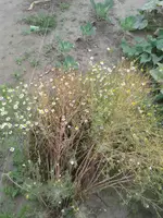 20160829_164431.webp