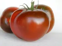 DSCN3590.webp