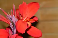 DSC_9322.webp