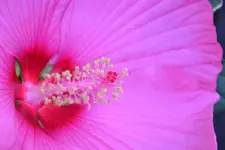 DSC_1552.webp