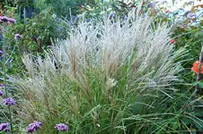 DSCF7144 (2).jpg