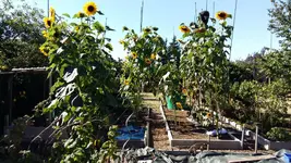 20160831_104219.webp