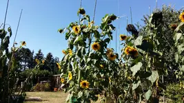 20160831_110237.webp