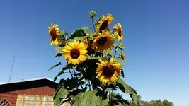 20160831_110247.webp