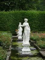 image.webp