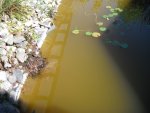 DSCF3003.jpg