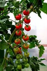 2016-08-29-9473 - Kopie.webp
