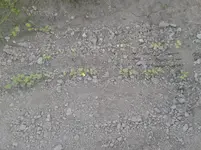 20160831_175949.jpg