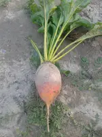 20160831_175921.jpg