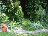 BILD5662.webp