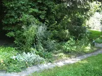 BILD5663.webp
