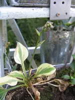 001_576x768.webp
