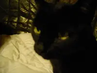 IMGP3200.webp