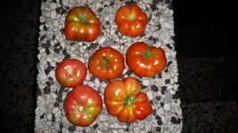 20160901_203446.webp