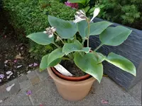 DSC07181.webp
