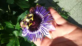 IMG-20160903-WA0039.webp