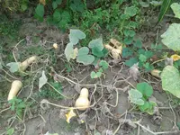 20160829_164444.jpg