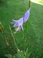 DSCI4492.webp