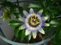 DSCI4486.webp