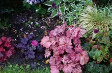 hchr2016 (3).webp