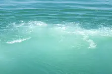 DSCF7168.webp