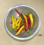 Chilis.JPG