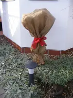 DSCF2473.webp