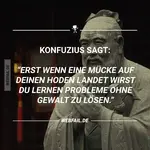 FB_IMG_1472471485102.webp