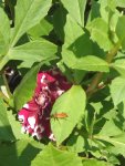 07_IMG_20160830_135004.jpg