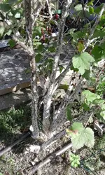 20160904_163848 (Large)vv.webp