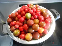 DSCN4598.jpg