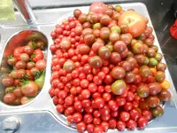 DSCN4597.jpg