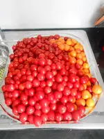 DSCN4596.jpg
