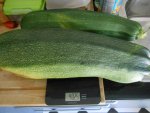 DSCN4589.jpg