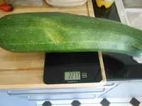DSCN4588.webp