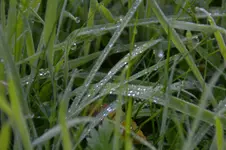 DSC_5259.webp