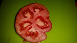 20160904_191348.jpg