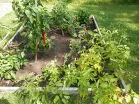 P9030314 - Copy.webp