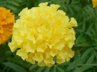 P9030336.webp