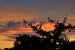 DSC_4227a.jpg