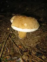 001_720x960.webp