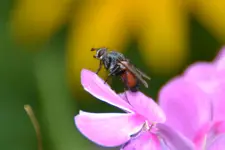 DSC_0010.webp
