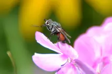 DSC_0011.webp