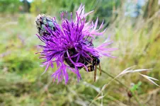 DSCF7222 (2).webp