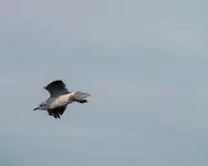 DSCF7196 (3).webp