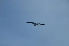 DSCF7199.jpg