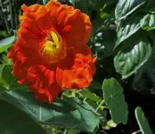 DSC07690.webp