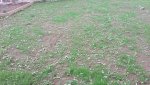 20160905_134726.jpg 20160905_134726.jpg
